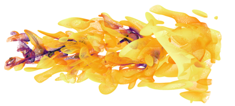 aPriori