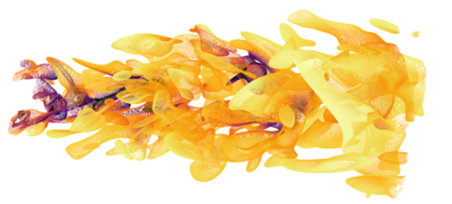 aPriori
